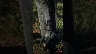 Exotic Sparrow Egg Orchid Location RDR2  reddeadredmption2 gaming rdrgameplay CowBoy [upl. by Enobe58]