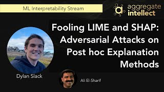 Fooling LIME and SHAP Adversarial Attacks on Post hoc Explanation Methods  AISC [upl. by Klein]