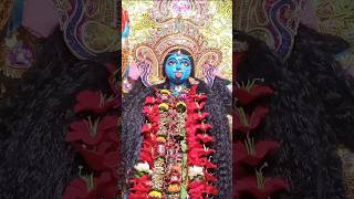 Jai Maa kali kali foryou viralshort [upl. by Yrkcaz]