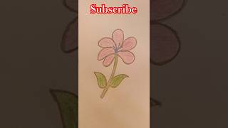 Lilly Flower 🌸🌸🌸Easy Flower DrawingLilly Flower Drawing with Pencil colourShorts video2024 [upl. by Damalus]