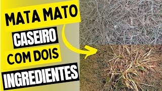 Como fazer Mata Mato Caseiro com Dois ingredientes [upl. by Noelopan]