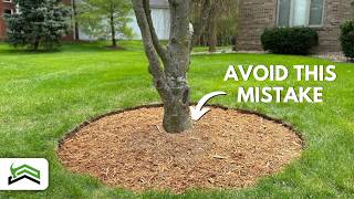 Tree Edging and Mulching Mastery  Tips for PicturePerfect Circles [upl. by Gord]