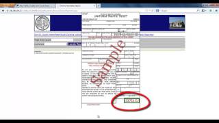 SCgov Traffic Ticket Payment Tutorial [upl. by Erdreid511]