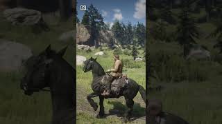 5 Insane Details in RDR 2 shorts reddeadredemtion2 [upl. by Llenart]