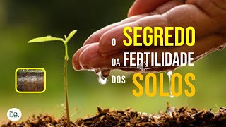 Qual o segredo da fertilidade dos solos agrícolas [upl. by Eldorado]