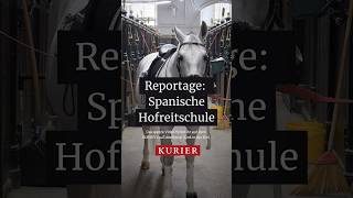 Die Spanische Hofreitschule ist die älteste Reitschule der Welt pferd wien reiten reitschule [upl. by Aninay]