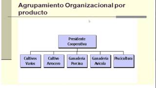 Departamentalizacion [upl. by Gavrila]