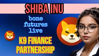 SHIBA INU का BULL RUN ♨️ MEME COIN DAILY NEWS TODAY amp PRICE PREDICTION in Hindi 2024 [upl. by Pleione]