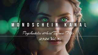 Psychodelic Acid Trance 2024 Vol 1 Music Mix Copyright FREE [upl. by Juna]