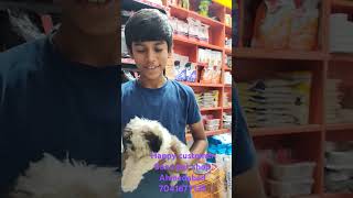 Today visit my shop mohnish purchase shitzu male puppy thanks for visit [upl. by Hgielyak]