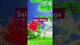 SALIGA NABIGA SCW [upl. by Clarhe860]