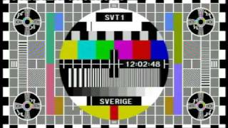 SVT1 tekniskt fel 2008 [upl. by Enowtna]