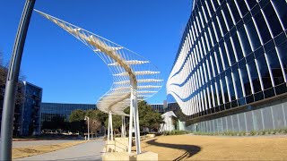 Austin TX  Riverside Neighborhood Walk [upl. by Janerich]