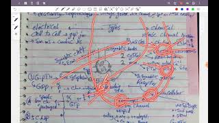 L3 physiology synaptic transmission cns 42 [upl. by Dearden]