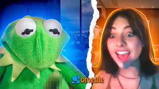 Kermit got that rizz on Omegle [upl. by Nnylsia]