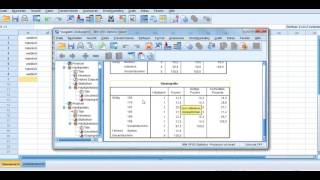 Häufigkeitstabellen mit SPSS [upl. by Brelje]