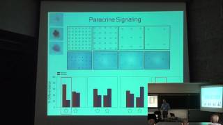 The Role of Cell Geometry in Stem Cells [upl. by Nnaytsirk]