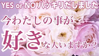 ガチ⚠️YES or NO ハッキリ。今私の事が好きな人はいますか？信じられない結果に。個人鑑定級 恋愛タロット占い ルノルマン オラクルカード細密リーディング [upl. by Lehte]