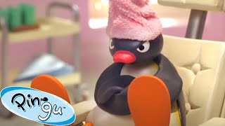 Pampering Pingu 🐧  Pingu  Official Channel  Cartoons For Kids [upl. by Inaliel]