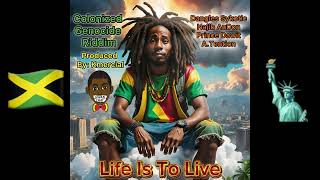 Prince Dawit  Life Is To Live Colonized Genocide Riddim Reggae 2024 [upl. by Tirma275]