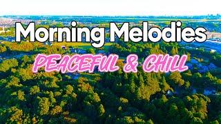 Peaceful Morning Classic  Chill Rhumba amp Cha Cha Cha Instrumental Melodies  Relaxing Morning Vibes [upl. by Dloreg188]