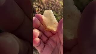 ✨Gold Tektite Libyan Desert Glass✨ crystalsquared12etsycom tektitedesertglassyoutubeyoutuber [upl. by Akere]