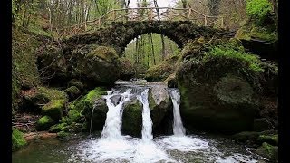 Exploring the Mullerthal Trail Luxembourg [upl. by Melly364]