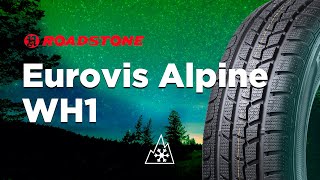 Зимние шины Roadstone Eurovis Alpine WH1 обзор 20202021 [upl. by Ruomyes]