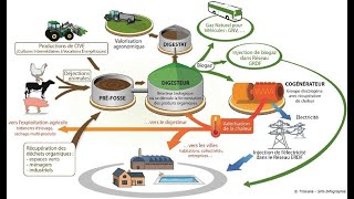 TOUT SAVOIR SUR LE BIOGAZ DOMESTIQUE Produire du BIOGAZ dans son exploitation Agricole🤑🤑🤑🤑🤑🤑 [upl. by Rabbi295]