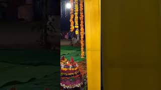 Bathukamma celebrations  short vedio  youtube shorts [upl. by Eillo8]