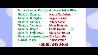 Jechoota waliin Deeman dubbisuu Kutaa 3ffaa study Afaan OromooAmharic English letters [upl. by Atiuqes]