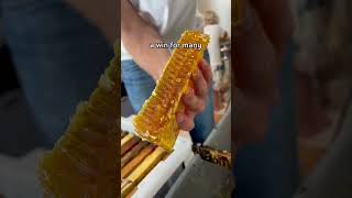 It doesnt get better than this shorts beekeeping honey honeycomb beekeeper honeybees bees [upl. by Ettigirb]