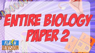 GCSE Biology Paper 2 The Full Summary [upl. by Rakabuba]