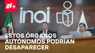 ¿Qué órganos autónomos podrían desaparecer en México  Despierta [upl. by Ecinev235]