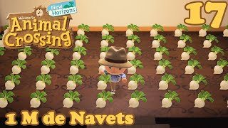 1M de Navets  Animal Crossing New Horizons [upl. by Aitak855]