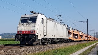 Bahnverkehr in DottikonDintikon amp Mühlau [upl. by Einned]