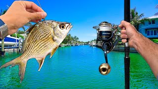 Tossing BIG Baits in Floridas Residential Canals Caught a GIANT [upl. by Alaehs667]