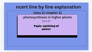 splitting of water PHOTOSYNTHESIS IN HIGHER PLANTS NCERT LINE BY LINE EXPLANATION [upl. by Eiramanad]