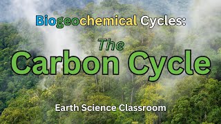 Detailing The Carbon Cycle [upl. by Shell]