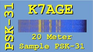 Sample of 20 Meter Activity for PSK31 Introduction Video [upl. by Coulson]