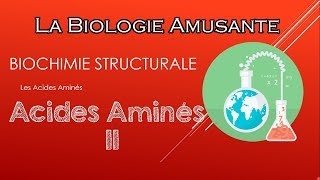 S3 BIOCHIMIE STRUCTURALE  les acides aminés  partie 2 [upl. by Dachy]