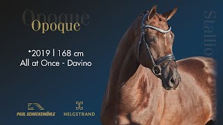 Opoque  Dressage Collection 2022 Schockemöhle amp Helgstrand ENG [upl. by Nnaynaffit592]