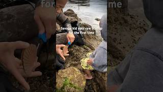 3yr old encounters 1st fresh caught raw scallops then… seafood dadlife freediver scallops [upl. by Yendyc616]