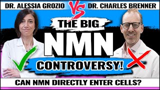 The Big NMN Controversy  Can NMN Directly Enter Cells  Dr Charles Brenner vs Dr Alessia Grozio [upl. by Ynnaej881]