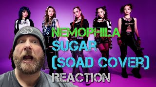 NEMOPHILA  SUGAR  REACTION [upl. by Mayor]