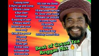 Best of Cocoa Tea Greatest Hits Latest Reggae Mix 2023  NizzyBob [upl. by Nairot854]