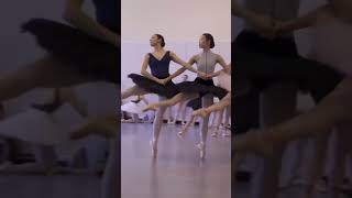 ballet dance art beautiful [upl. by Adnomal]