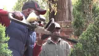 Topiary artist works on USCs commemorative desegregation garden [upl. by Dene]