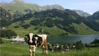 Lyoba  Fryburger Chuereihe Le Ranz des vaches  Alphorn Trio [upl. by Lucier]