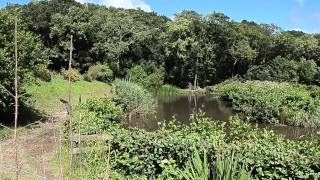 HAREPIE FISHERY TAWSTOCK NEAR BARNSTAPLE DEVON [upl. by Saum]